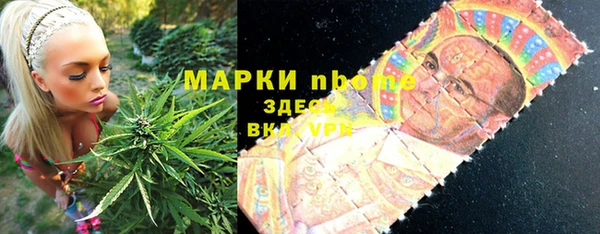 прущие грибы Балахна